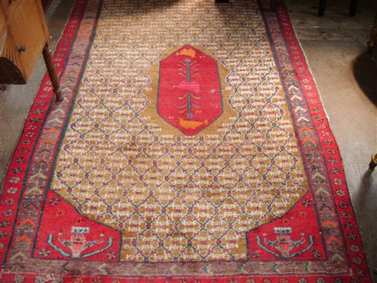 Eastern rug(-)